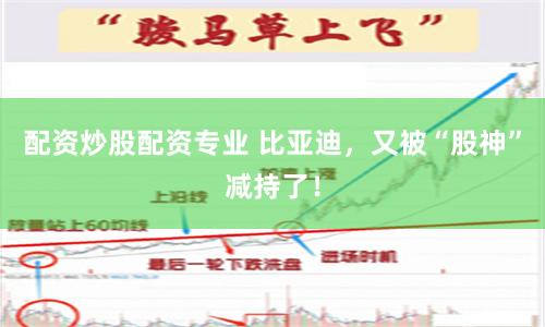 配资炒股配资专业 比亚迪，又被“股神”减持了！