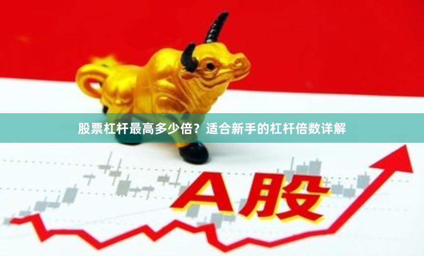 股票杠杆最高多少倍？适合新手的杠杆倍数详解